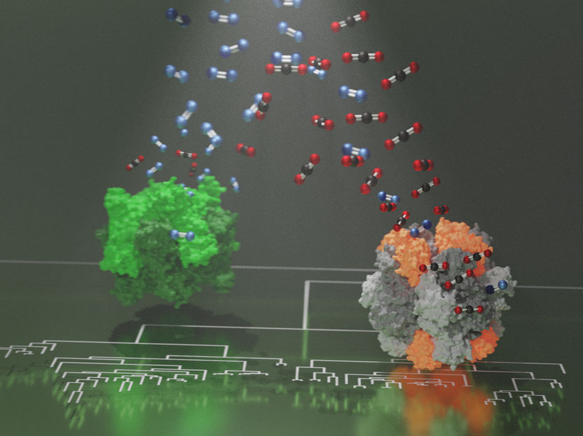 © Max Planck Institute for Terrestrial Microbiology/Hochberg