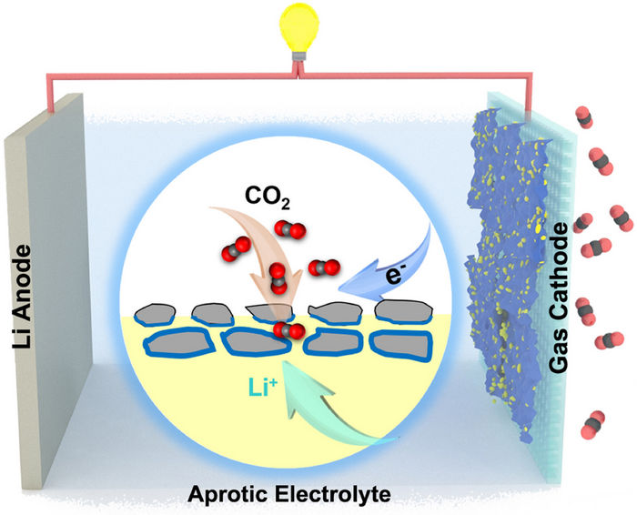 Zhou, Jingwen et al./ doi.org/10.1073/pnas.2204666119