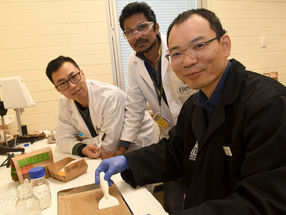 Flinders University researchers Mr Peng Su, left, Chanaka Mudugamuwa and Dr Zhongfan Jia testing the biopolymer coating for potential use in fast-food and other wrappers