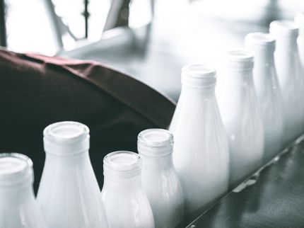 Molkereistruktur 2021