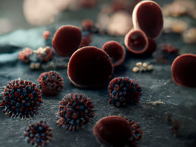 El virus de la gripe y su influencia en las células madre de la sangre y la coagulación