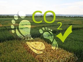 Deux empreintes de pied sur fond de parcelles expérimentales de variétés de blé symbolisent le fait que les progrès de la sélection contribuent à la protection du climat, par la réduction de l'empreinte carbone.