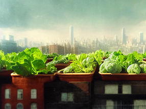 CO2 ventilation breakthrough could turn city rooftops into bumper vegetable gardens