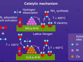 Durable, inexpensive catalyst reduces carbon footprint of ammonia production
