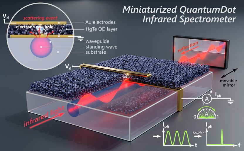 Miniaturisierte Infrarot-Detektoren - Integration auf einem Chip: Enorme Auswirkungen auf Spektrometer verschiedener Art – und in verschiedenen Bereichen