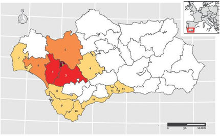 Spatial distribution of confirmed cases of listeriosis, Andalusia, Spain, 1 July–26 October 2019