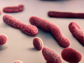 When tapas can cause harm: large listeriosis outbreak in Spain
