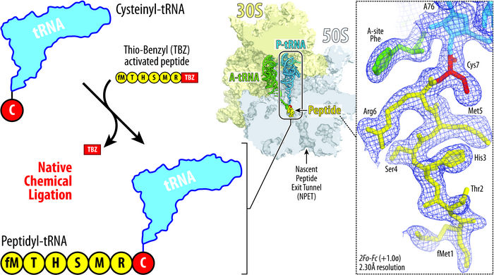 Syroegin, et al.