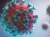Mutationen des Affenpockenvirus führen zu einer raschen Ausbreitung des Virus, das sich Medikamenten und Impfstoffen entzieht