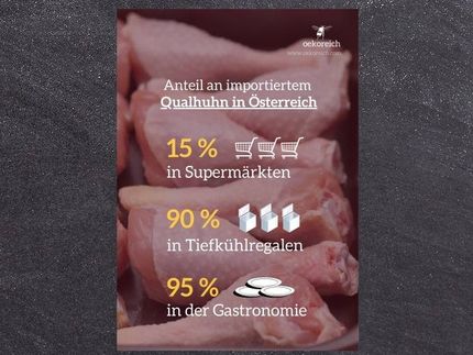 Übersicht Anteil an Hühnerfleisch-Importware bei Frischfleisch in Supermärkten, bei Tiefkühlware und in Gastronomie