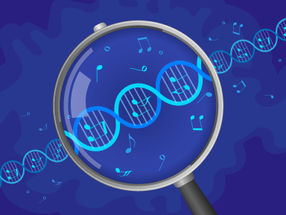 New Findings on the Influence of DNA on Musicality
