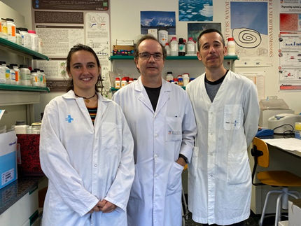 Researchers identify a molecular mechanism associated with juvenile Parkinson’s
