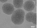 Ein neuer Nanopartikel, das im Herzen der Zellen wirkt