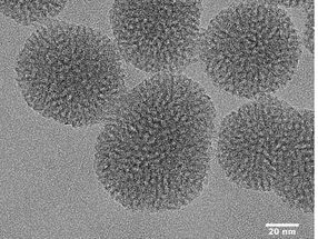 Ein neuer Nanopartikel, der im Herzen der Zellen wirkt