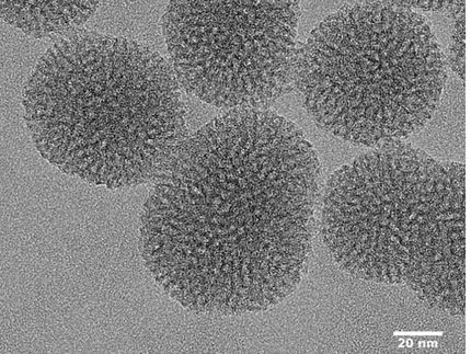 A new nanoparticle to act at the heart of cells
