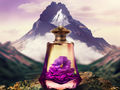 Sustainable scents from the mountain of the gods