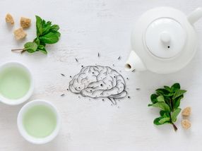 Green tea and resveratrol reduce Alzheimer's plaques in lab tests