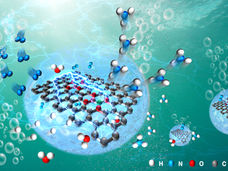 Neuartiger Elektrokatalysator verbessert die Synthese von Harnstoff aus CO2  und N2