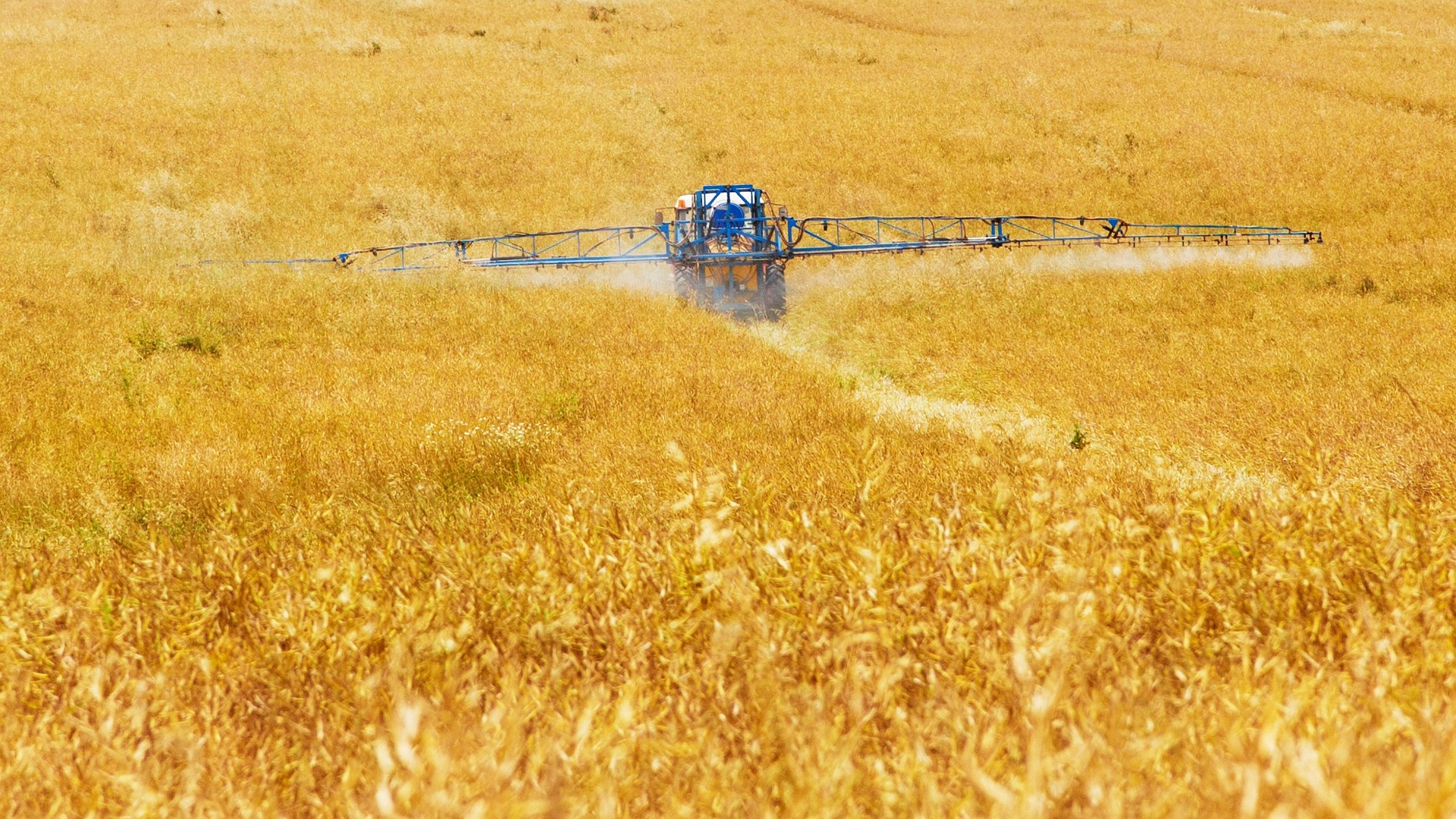 El pesticida glifosato podrá utilizarse en la UE durante un año más