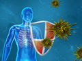 Wie neue Wirkstoffe schädliche Immunreaktionen bremsen