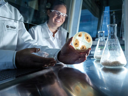 Small but powerful – microorganisms contribute to greater sustainability at BASF