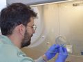 Estudian cómo evolucionan las bacterias resistentes a los antibióticos en el intestino de pacientes hospitalizados