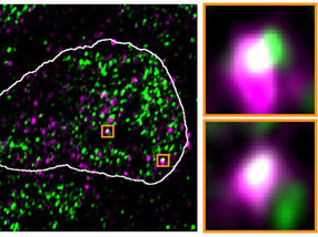 Asimi et al., MPIMG