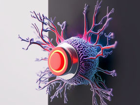 Nanoschalter für gezielte Tumorbekämpfung