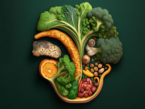 Lower Colorectal Cancer Risk with Plant-Based Diets