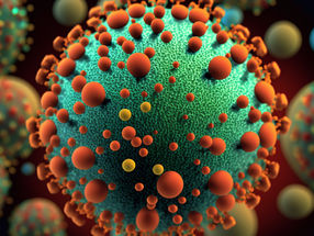 Nuevo método de producción de virus de la vacuna contra el sarampión modificados genéticamente