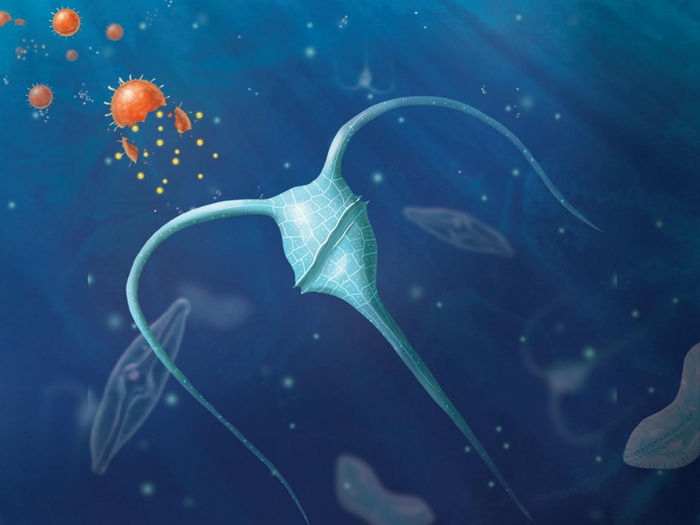 Illustration by Stephanie King | Pacific Northwest National Laboratory