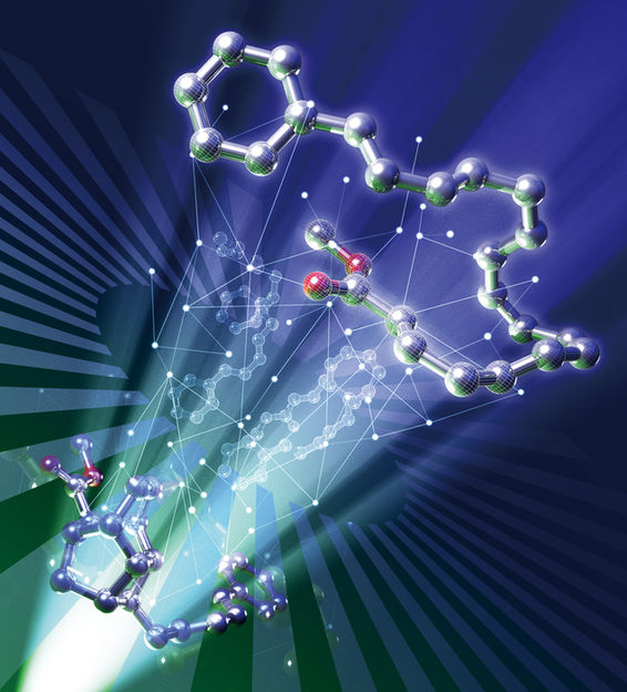 Tsuyoshi Mita et al. Journal of the American Chemical Society. November 30, 2022