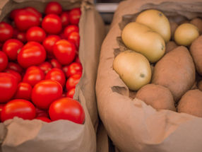 ¿Podrían surgir nuevos medicamentos contra el cáncer a partir de las patatas y los tomates?