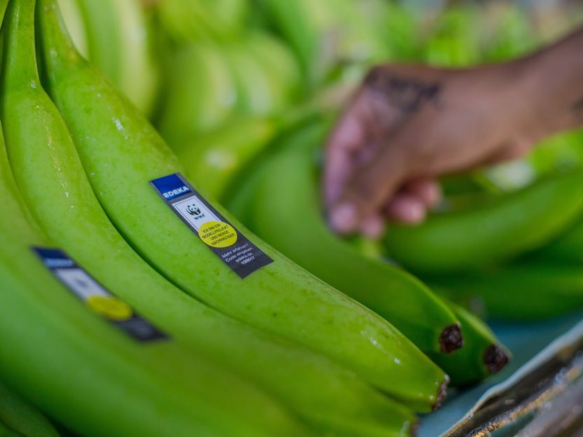 EDEKA ZENTRALE Stiftung & Co. KG