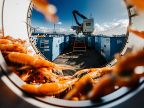 ESF Seafood transforma el procesamiento del camarón gracias a una conversión de energía renovable líder en el sector