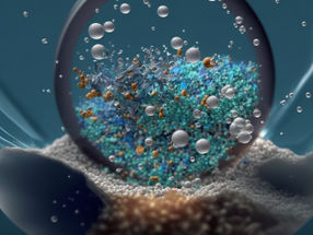 Microplastics in human tissue samples: International study warns against drawing premature conclusions