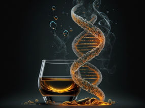 Überraschende Ergebnisse: Viele Gene beeinflussen Alkohol- und Tabakkonsum