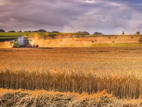 Mangelnde Weizenexporte aufgrund des Krieges in der Ukraine: Langfristig muss die Weizenproduktion weltweit steigen