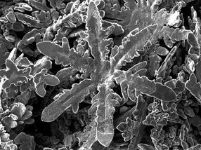 Aventuras en nanotecnología: cultivo de un copo de nieve metálico de nanopartículas