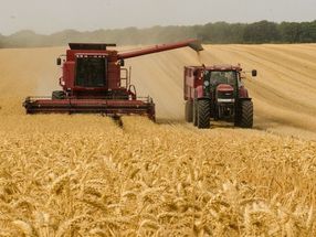Pénurie mondiale de blé