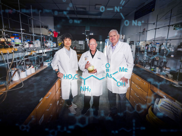 Researchers patent synthetic antibiotic - Second patent awarded to Florida International University for developing new arsenic-based antibiotics
