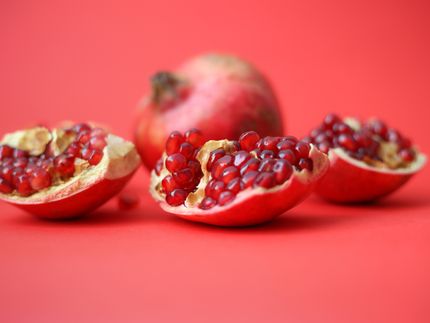 VKI-Test: Schadstoffe in exotischen Früchten – Bio ist besser