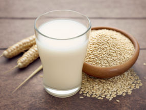 Plant-based Milk Global Market Report 2022