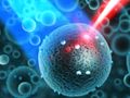With light into the nanoworld: How optical microscopes allow detailed investigations of nanoparticles