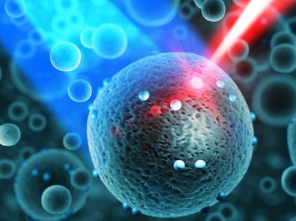 Mit Licht in die Nanowelt: Wie optische Mikroskope detaillierte Untersuchungen von Nanopartikeln erlauben