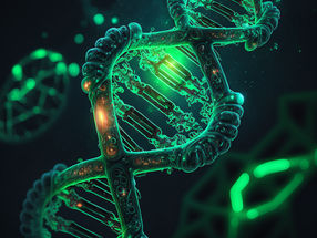 El ADN artificial mata el cáncer