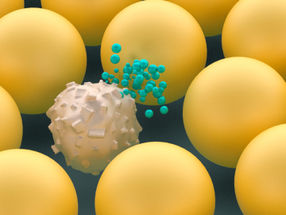 Merck Announces Collaboration With Mersana Therapeutics to Develop Novel Immunostimulatory Antibody-Drug Conjugates