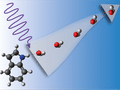 How biomolecules react to UV light