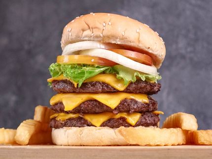 Studie zeigt, dass Klimaaufkleber auf Fast-Food-Menüs die Auswahl der Lebensmittel stark beeinflussen
