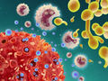 Löcher in T-Zellen